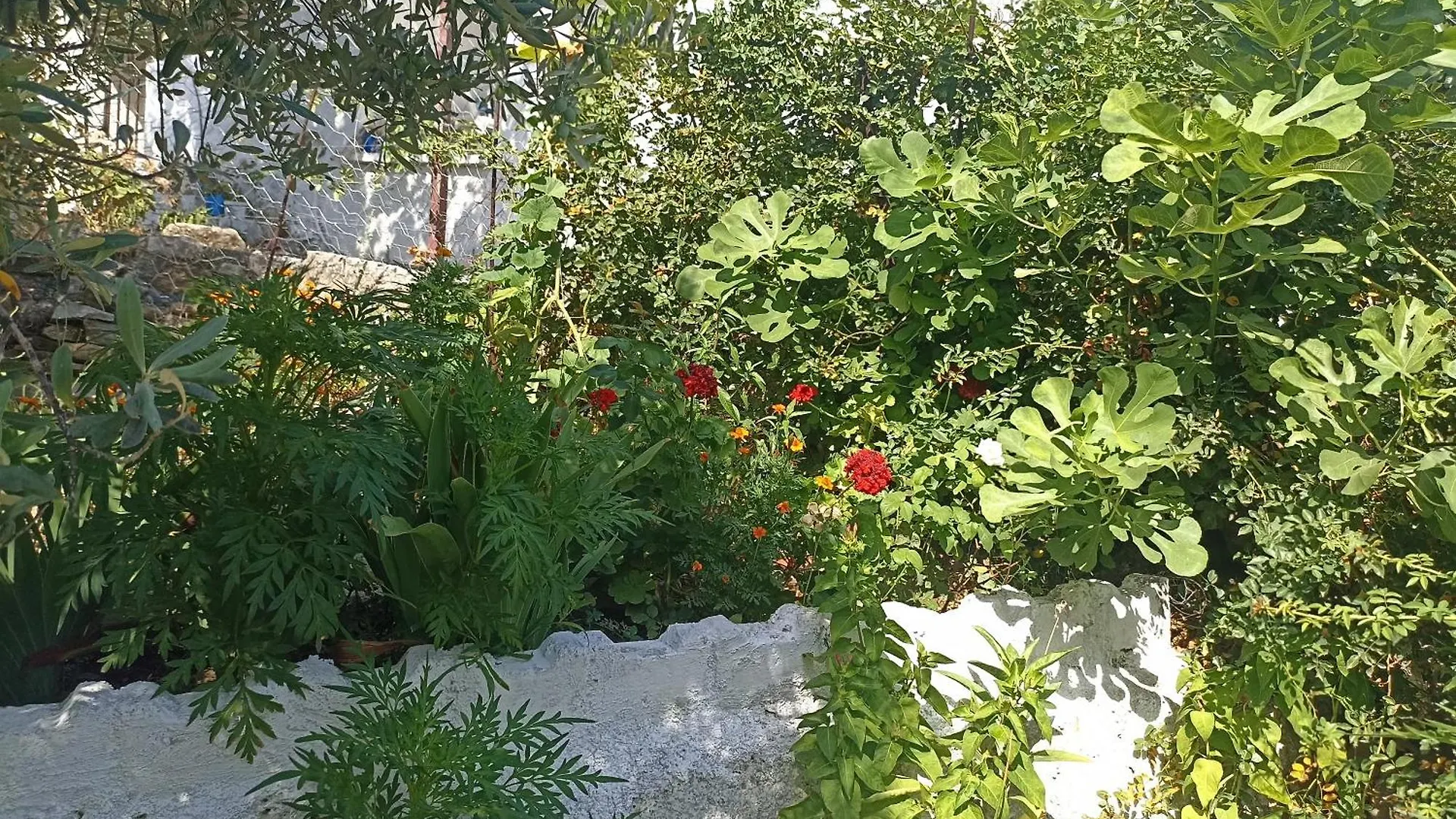 Lotus House Villa Soke