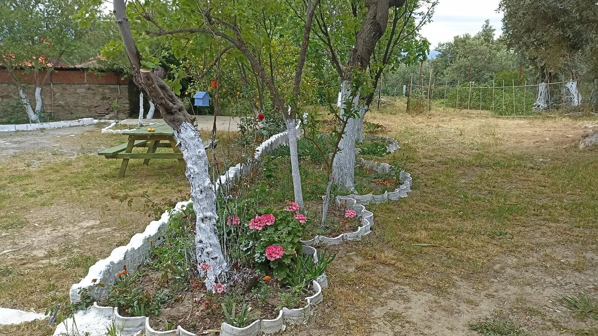 Vakantiehuis Lotus House Villa Soke