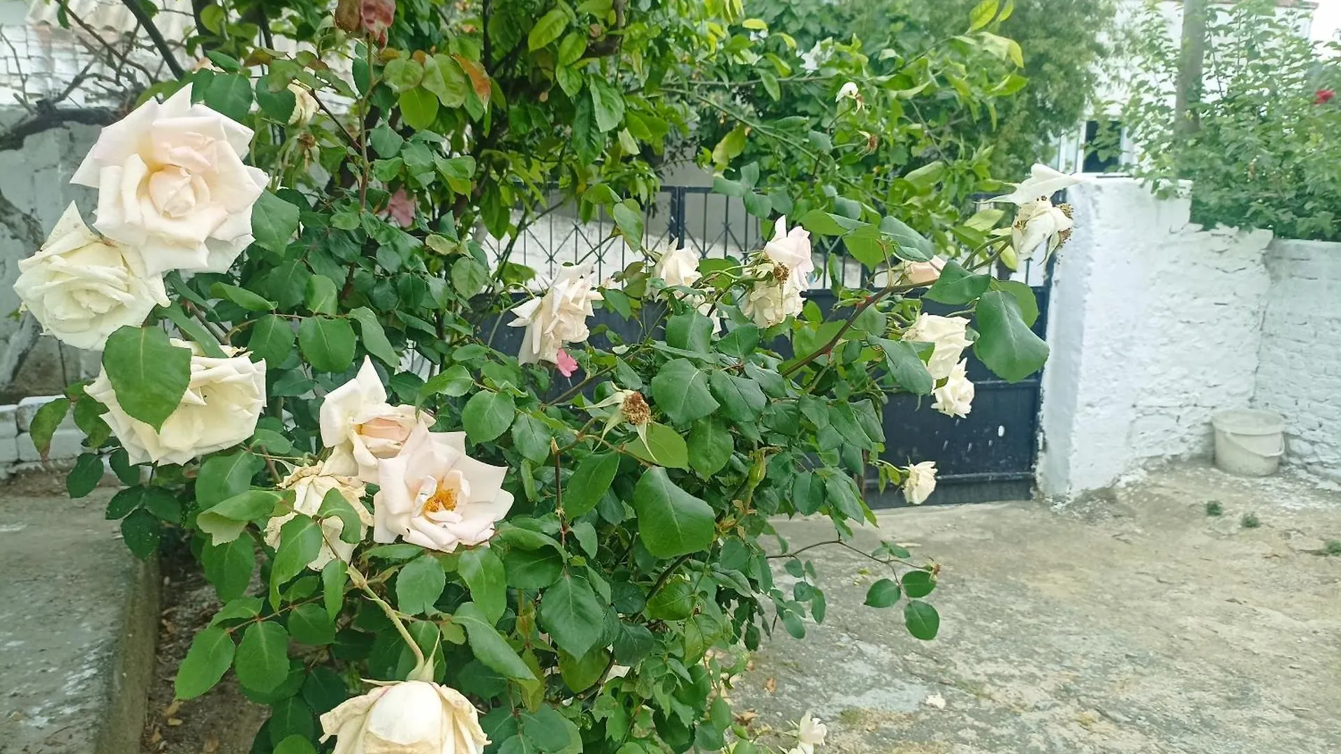 Holiday home Lotus House Villa Soke