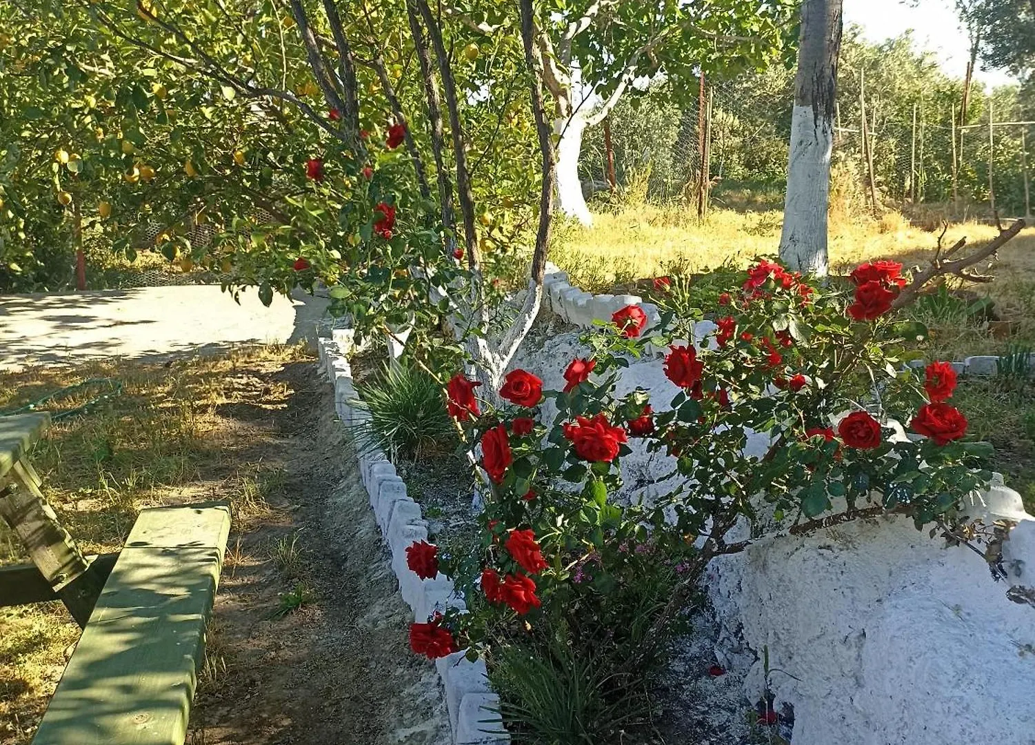 Holiday home Lotus House Villa Soke