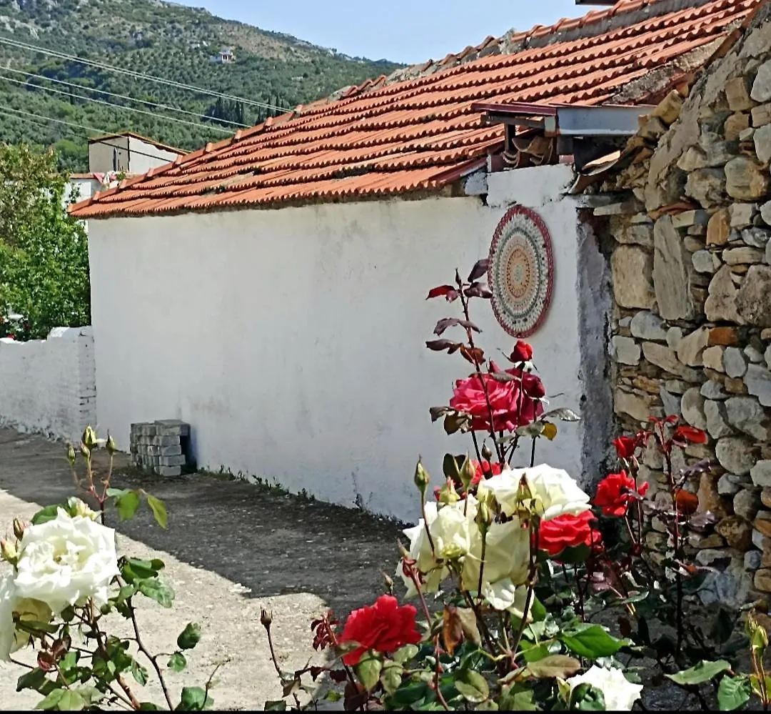 Holiday home Lotus House Villa Soke